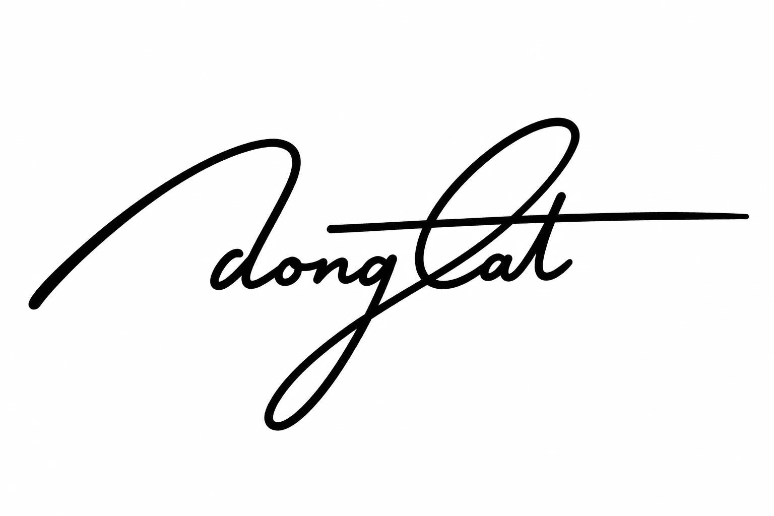 Dongcat signature